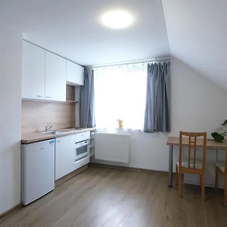 Ostrava, Byt 45 M2 V Rd Apartment